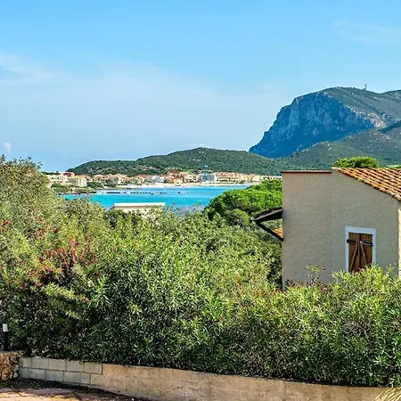 Solea, Golfo Aranci